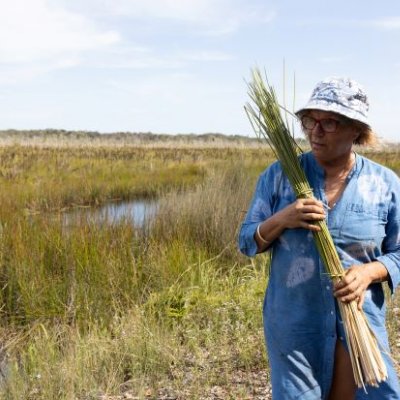 A woman stands in a freshwater swamp holding a bundle of long straight reeds.